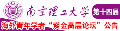 大鸡吧操屄视频免费看南京理工大学第十四届海外青年学者紫金论坛诚邀海内外英才！